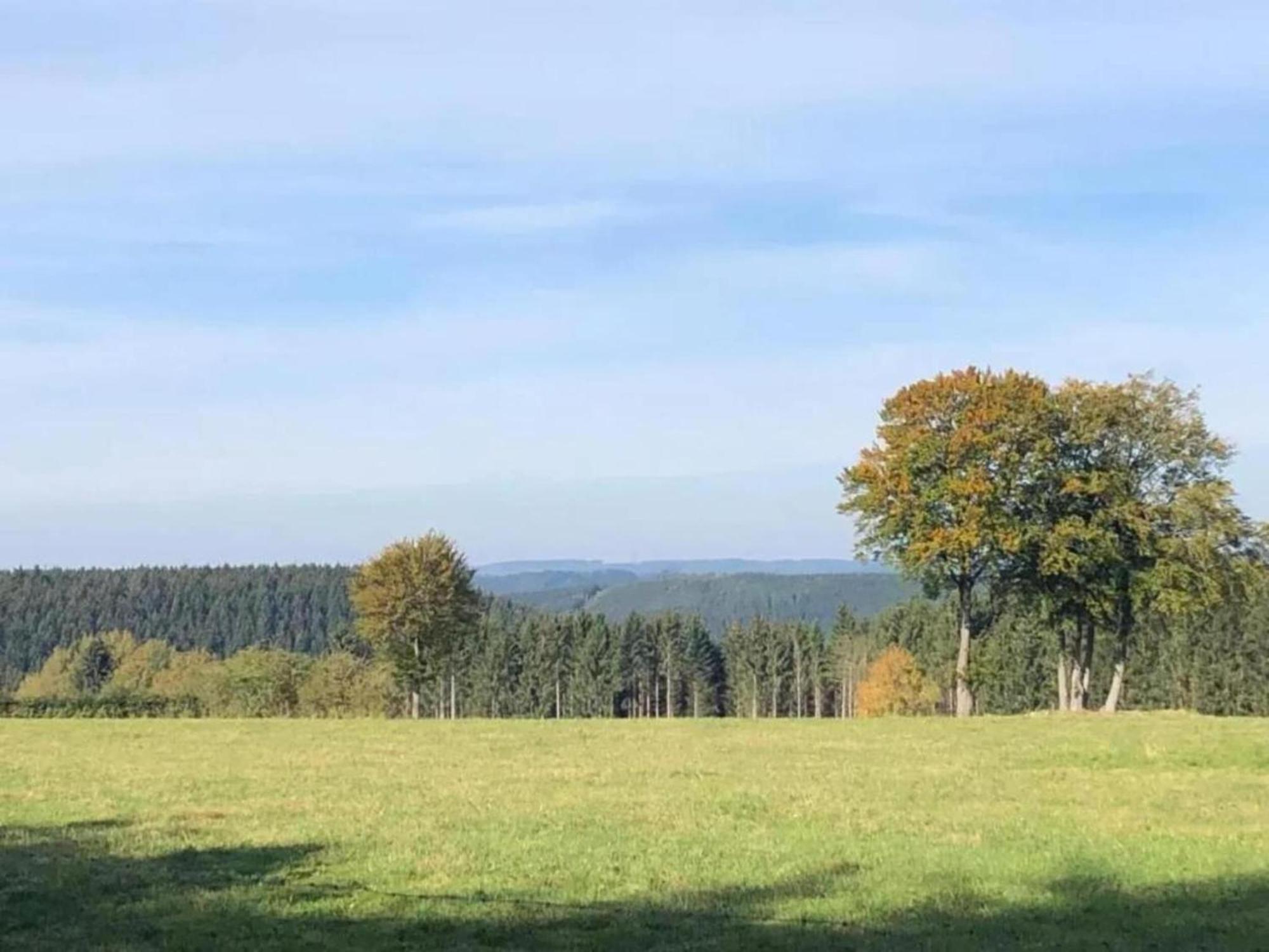 Magnificent Apartment In Willingen With Balcony Екстериор снимка